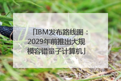 IBM发布路线图：2029年前推出大规模容错量子计算机