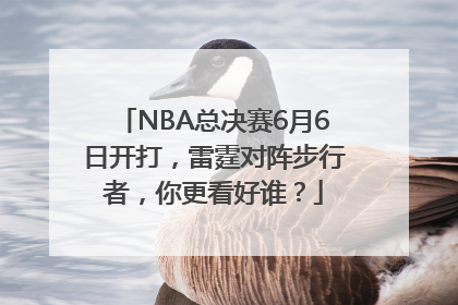 NBA总决赛6月6日开打，雷霆对阵步行者，你更看好谁？