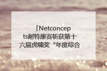 Netconcepts耐特康赛斩获第十六届虎啸奖“年度综合服务商”大奖