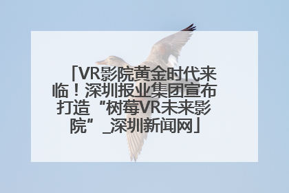 VR影院黄金时代来临！深圳报业集团宣布打造“树莓VR未来影院”_深圳新闻网