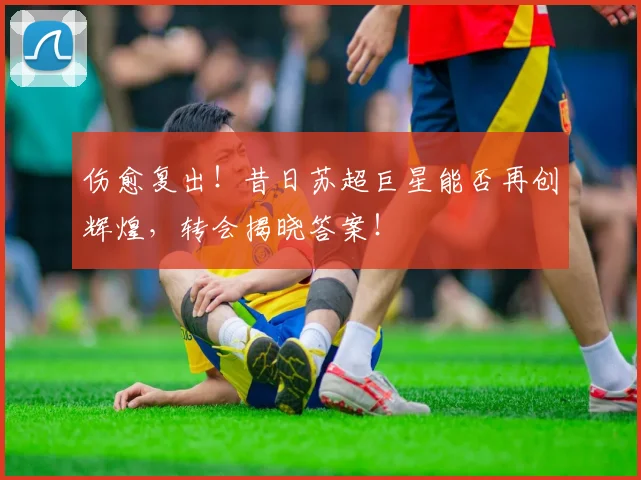 伤愈复出!昔日苏超巨星能否再创辉煌,转会揭晓答案!