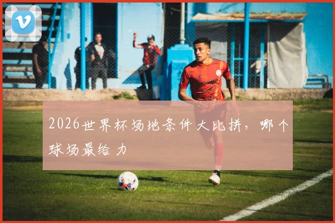 2026世界杯场地条件大比拼,哪个球场最给力